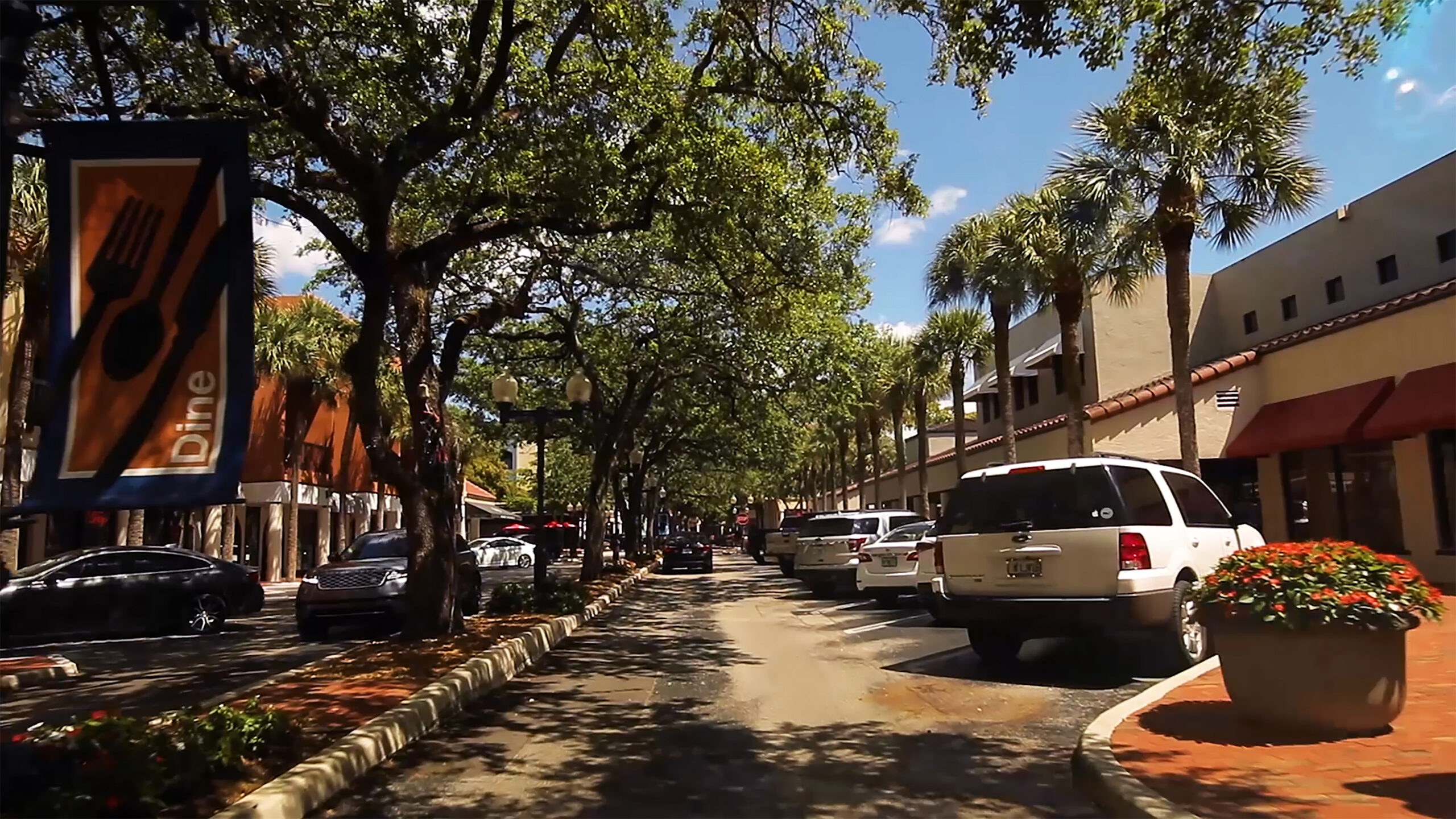 Tree-lined main street with shops and parked cars